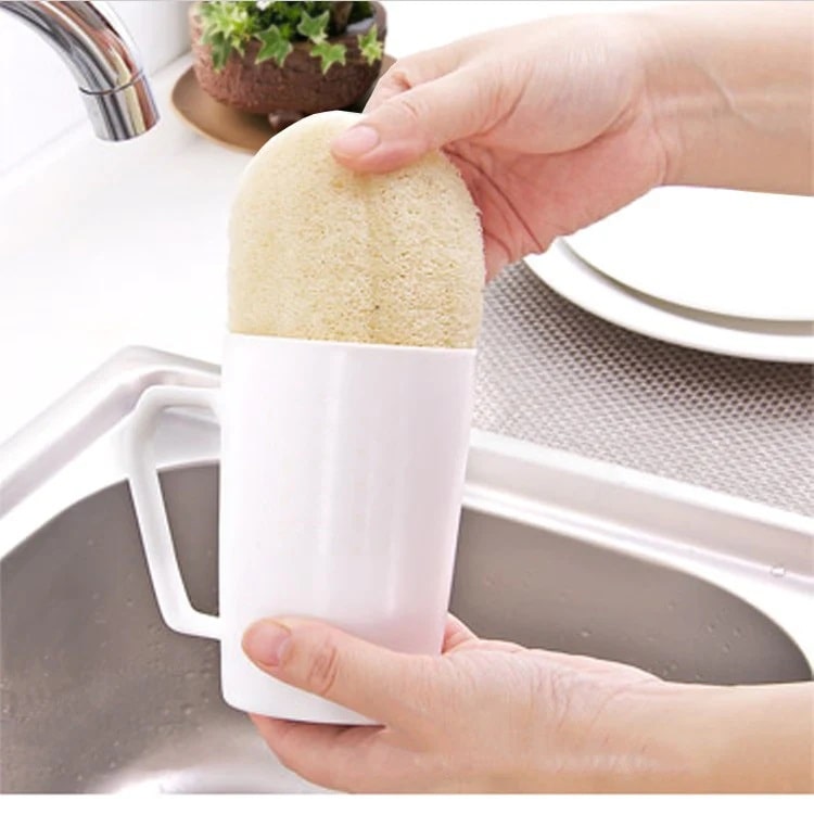 A person washing a cup with a vegetable fiber sponge