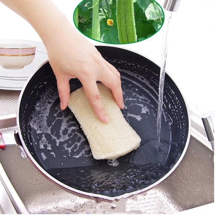 Natural dish sponge cleaning a frying pan